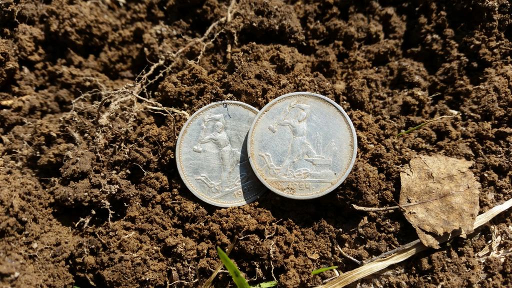 Полтинники