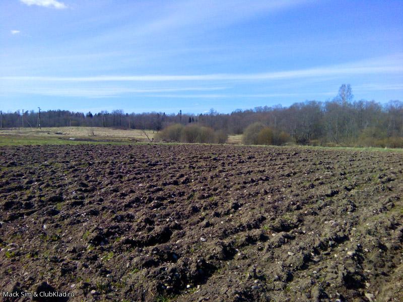 Любимые огороды