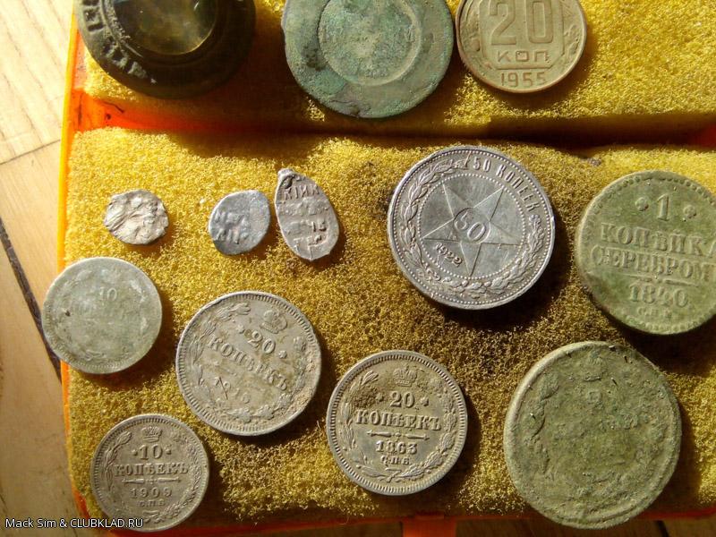 Находки с берегов Луги