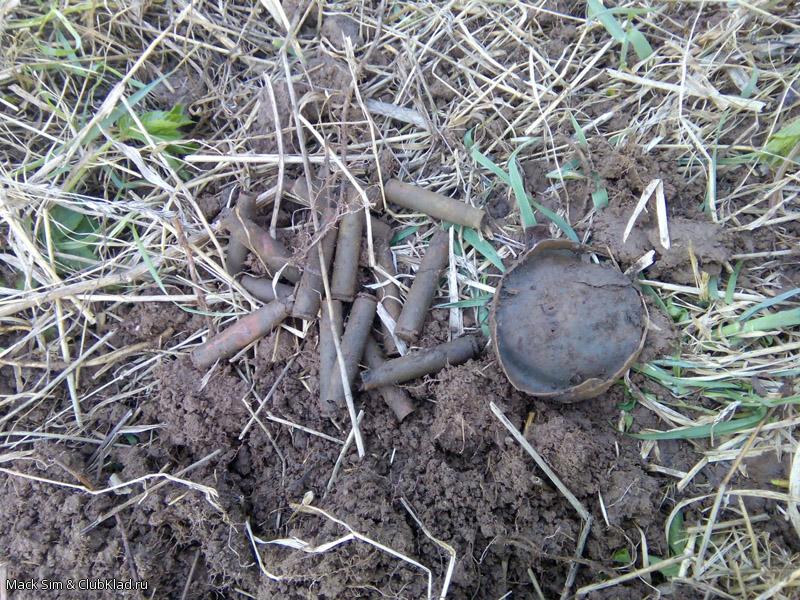 «Эхо войны»