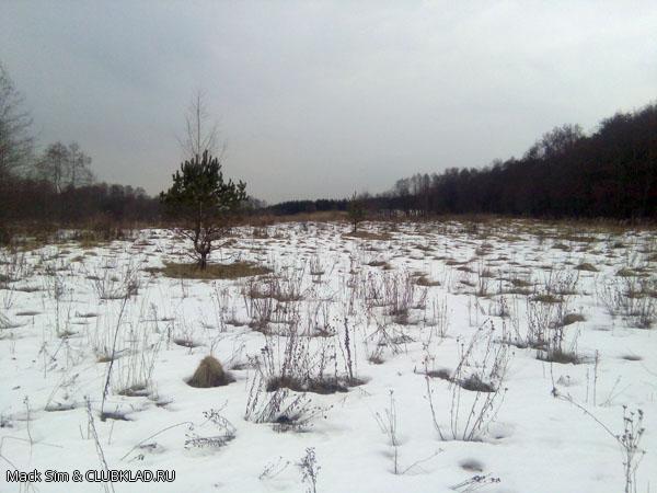 Поле 27 марта 2016