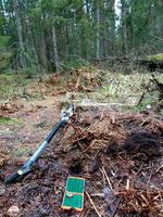 Пробка из под молока в чаще леса