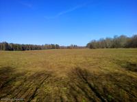 Поле, русское поле...