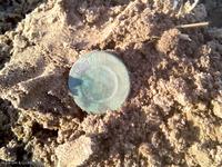 3 копейки 1883