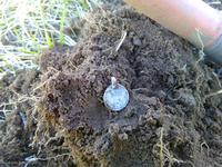 Кулон из монеты