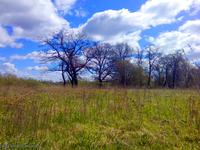 Место поиска...