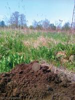 2 копейки 1812