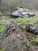  Классика жанра - монетка империи рядом с колодцем.