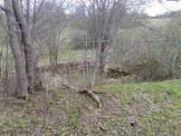 Симпатичный «фундос»