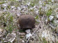 Чугунок... пустой