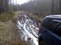 Эх, дороги...