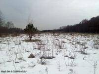 Поле 27 марта 2016