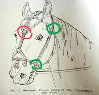 Ременные разделители.