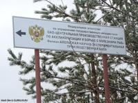 Разведение рыбы-пилы. ))