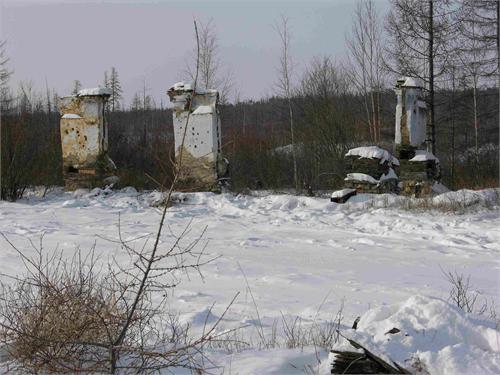 Остатки строений прииска 1940-1960 гг. Печи, трубы сложены полностью из сланца, так как отсутствовал кирпич!!! Иркутская область.