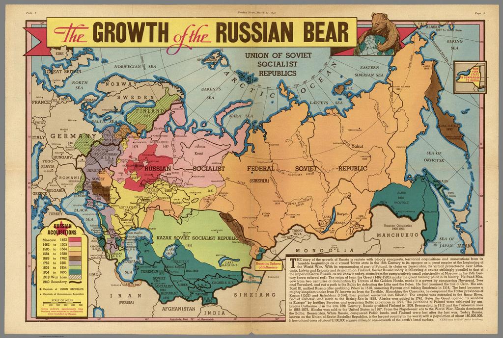 медведь