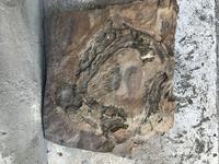 Плоская твердая порода с отпечатком живности....?