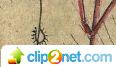1354639357-clip-3kb