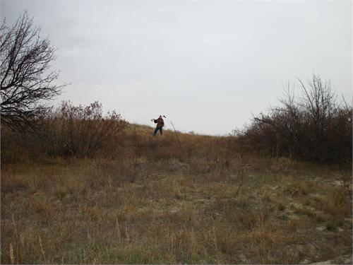 11454.jpg