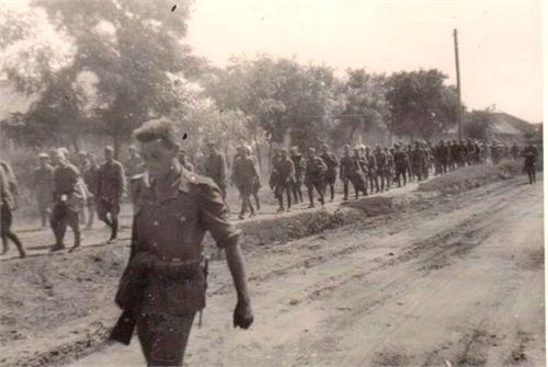 2628.jpg