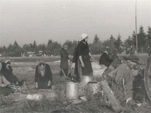 2649.jpg