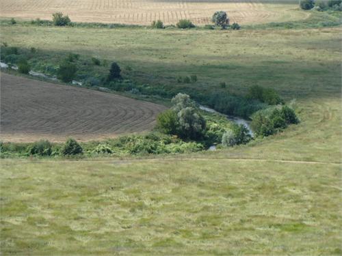 3104.jpg