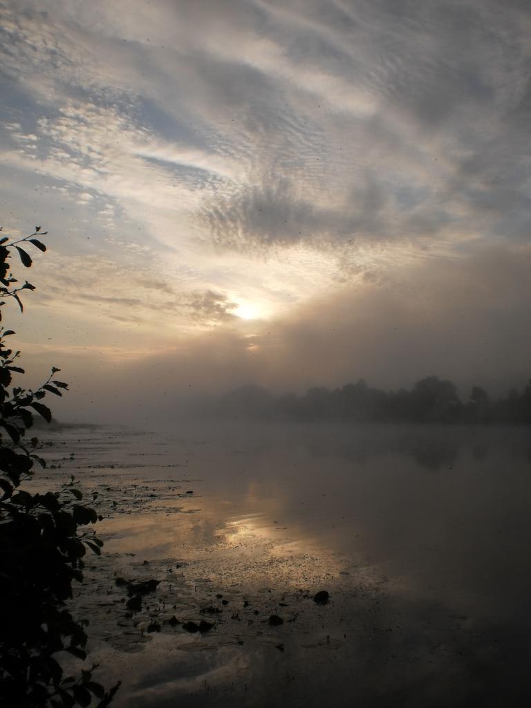 P7070051