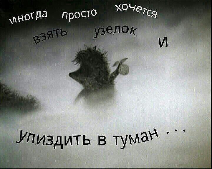 Ежик