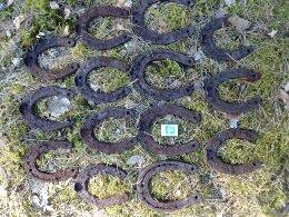 Новые подковы тяжеловозов