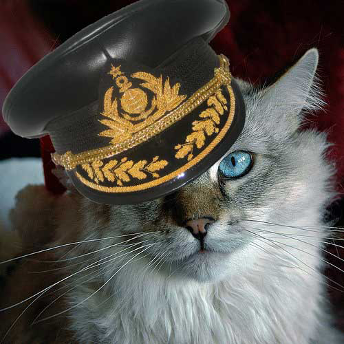 Аватар
