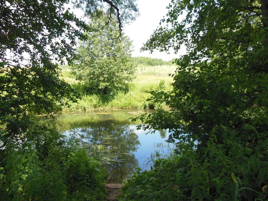 река
