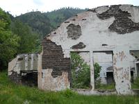 DSCN0591