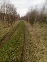 дорога
