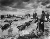 Поиск родственников среди погибших Крым 1942
