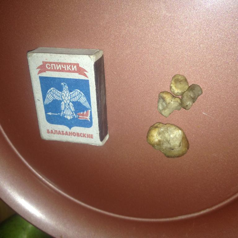 трюель белый