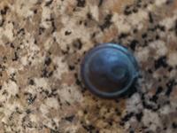 Возможно пуговица