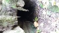 Вход
