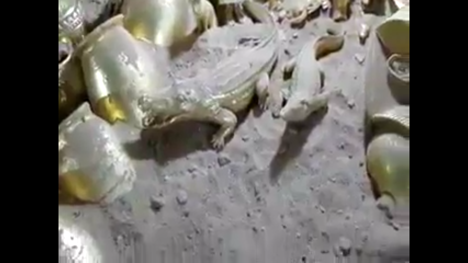 золото