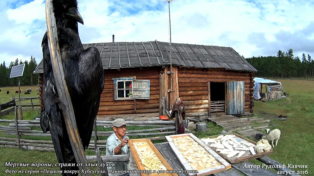 Часть 7. Фото из серии «Пешком вокруг Хубсугула. Одиночный поход в 400 километров». Рудольф Кавчик