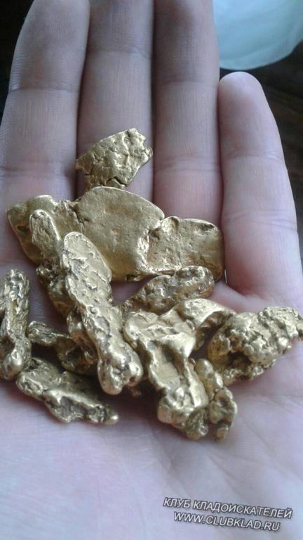 Золотые самородки очищенные кислотой