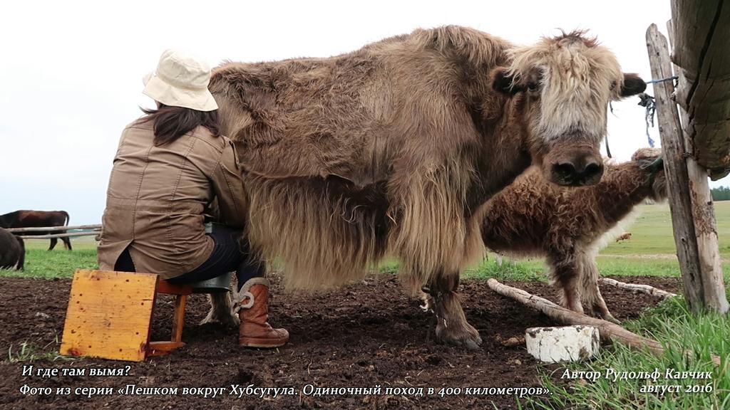 Фото из серии «Пешком вокруг Хубсугула. Одиночный поход в 400 километров». Рудольф Кавчик