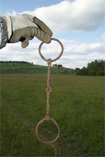 Удела. Найдены в Башкирии, Салаватский район, д.Тикеево. Июнь 2009.