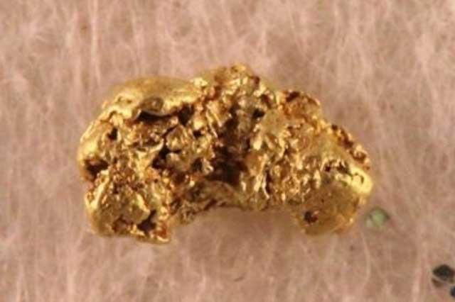 Самородок из самого дорогого золота 224 USD за грамм (масса 0.125 г, Аляска)