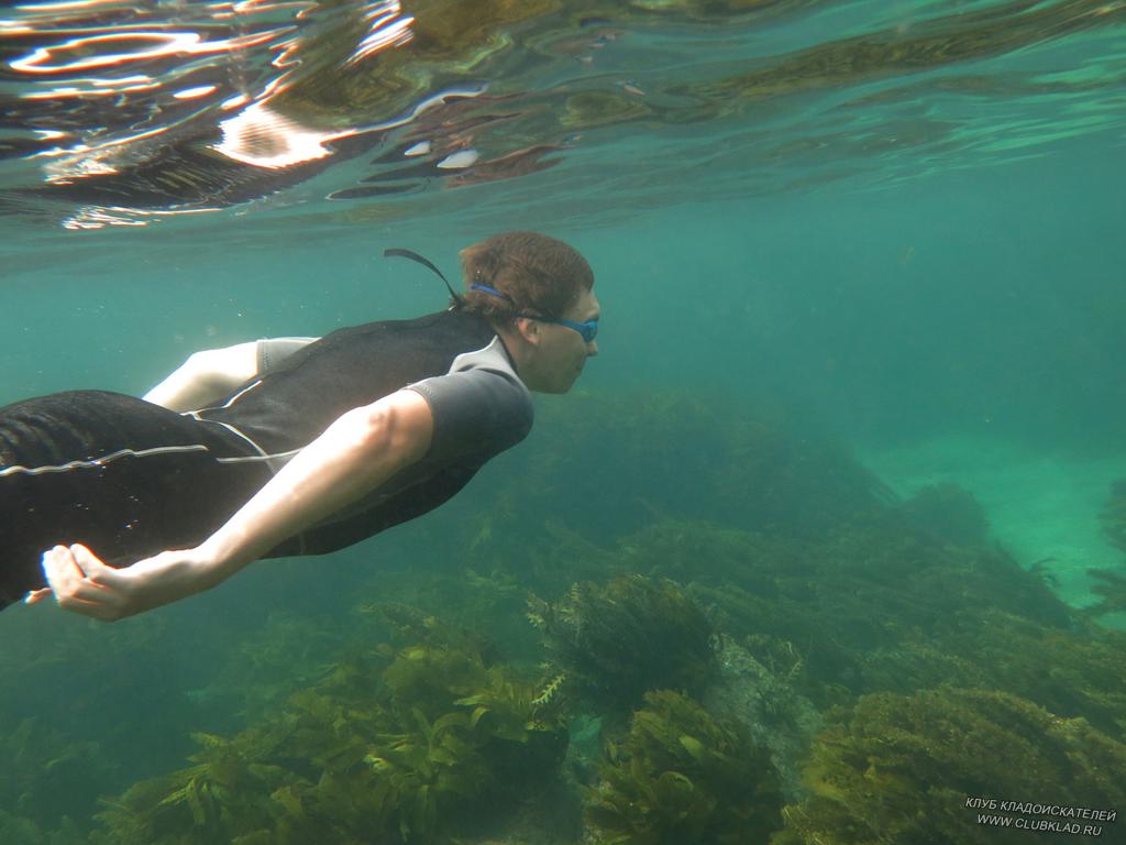 Подводный мир и его обитатели Goat Island Новая Зеландия
