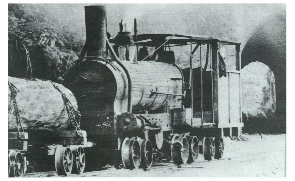 6-03 Davidson locomotive полноприводный паровоз, вывозил лес работая внутри Новой Зеландии