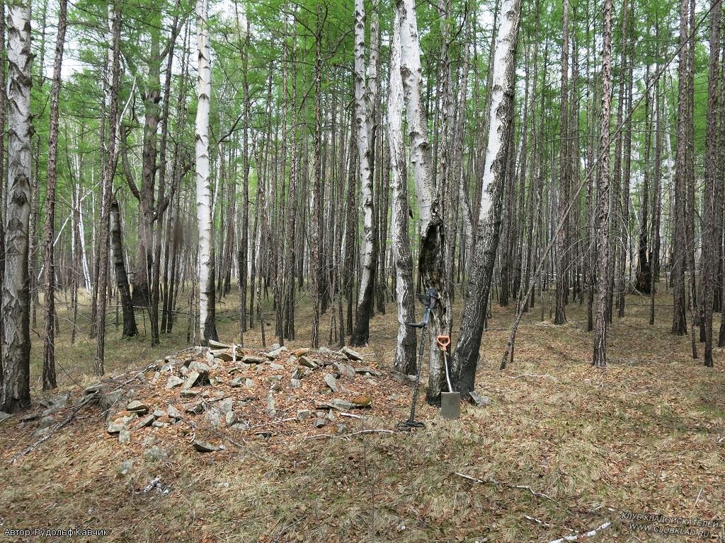 Места эти давно заброшены и в некоторых местах выросли вполне приличные деревья Удыча-Шокша