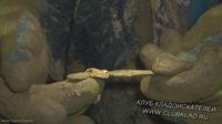 Поиск клада в пещере Где искать клад