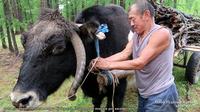 Часть 7. Фото из серии «Пешком вокруг Хубсугула. Одиночный поход в 400 километров». Рудольф Кавчик