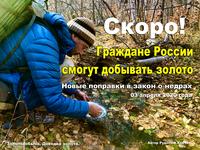 Новые поправки в закон о вольном приносе золота апрель 2020 год