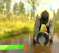Добыча россыпного золота в Финляндии Методика, практика, оборудование для добычи золота Старательский лоток